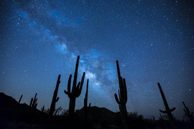 ルハン宣伝のみに使用の事_astronomy-cactus