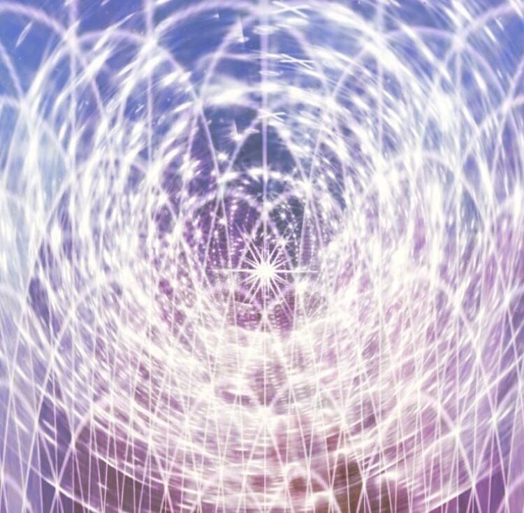 ⑤