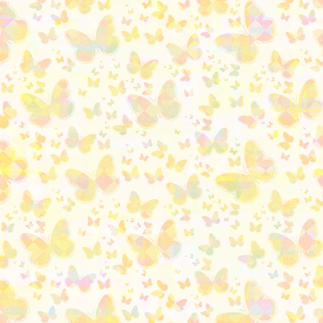 ②butterflies-5475169_640