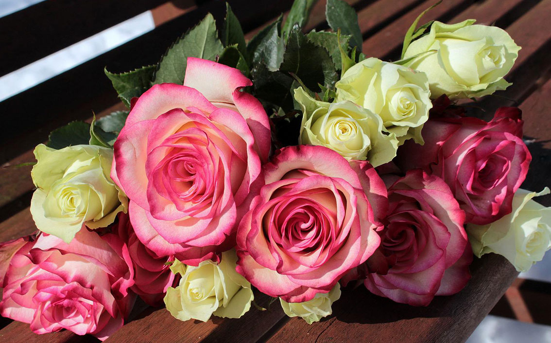 薔薇web1